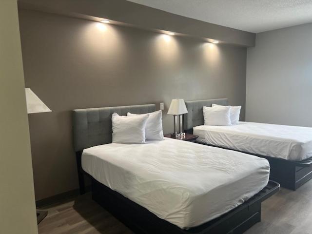 Baymont By Wyndham Lakeland Εξωτερικό φωτογραφία